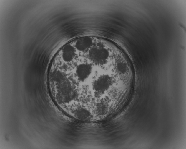 X0000100490949200807031913