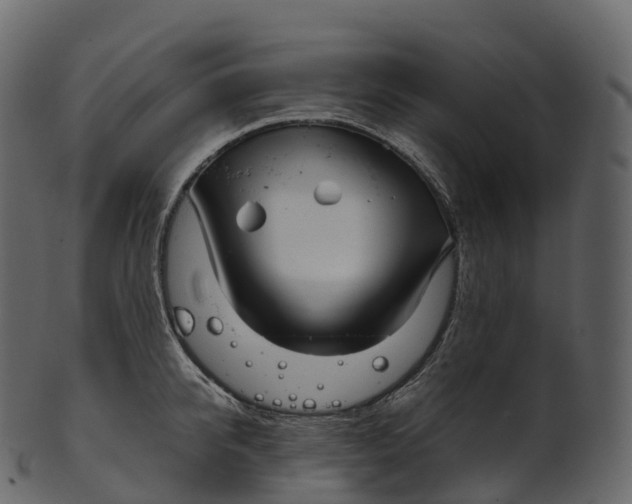 X0000100490950200807031913