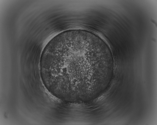 X0000100490951200807031913