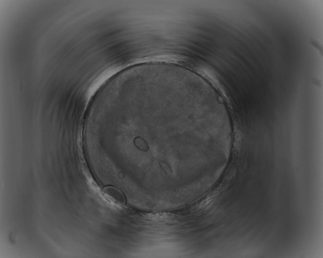 X0000100490952200807031913