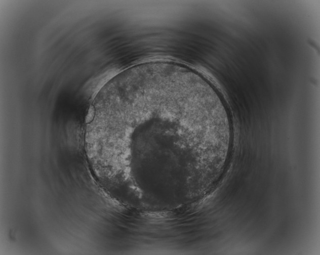 X0000100490953200807031913