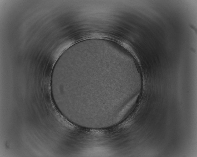 X0000100490954200807031913