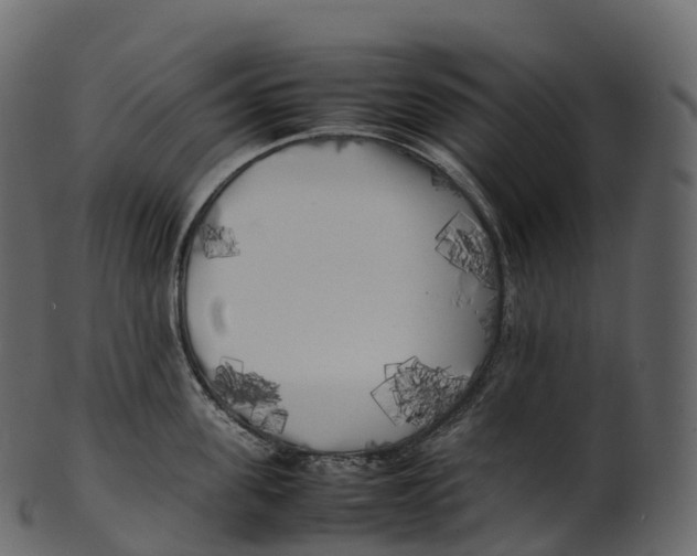 X0000100490955200807031913