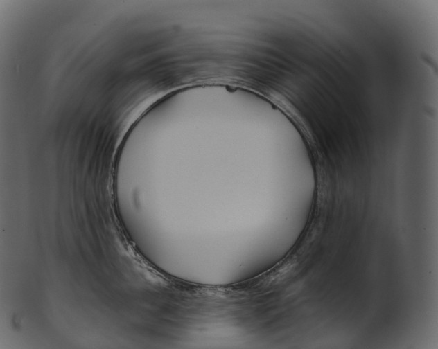 X0000100490956200807031913