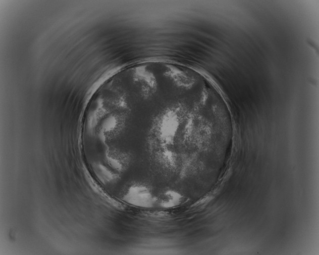 X0000100490957200807031913