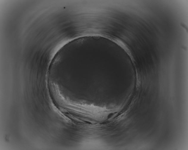 X0000100490958200807031913