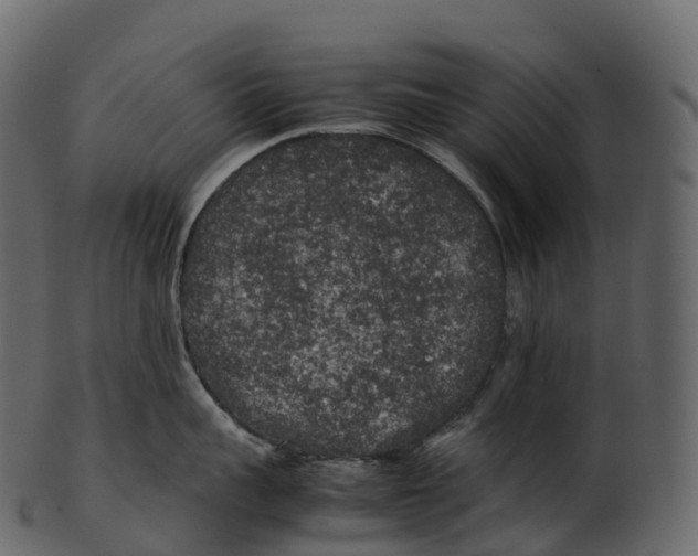 X0000100490959200807031913