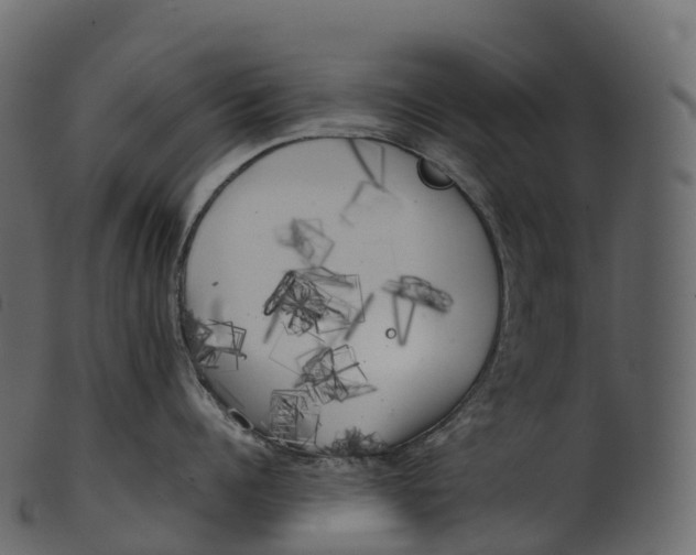 X0000100490960200807031913