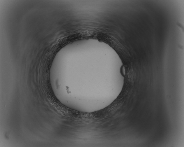 X0000100490961200807031912