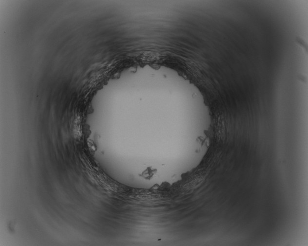 X0000100490962200807031912