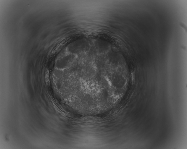 X0000100490963200807031912