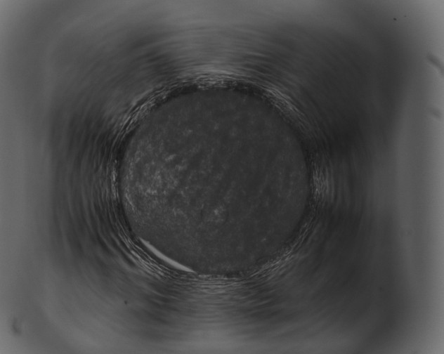 X0000100490964200807031912