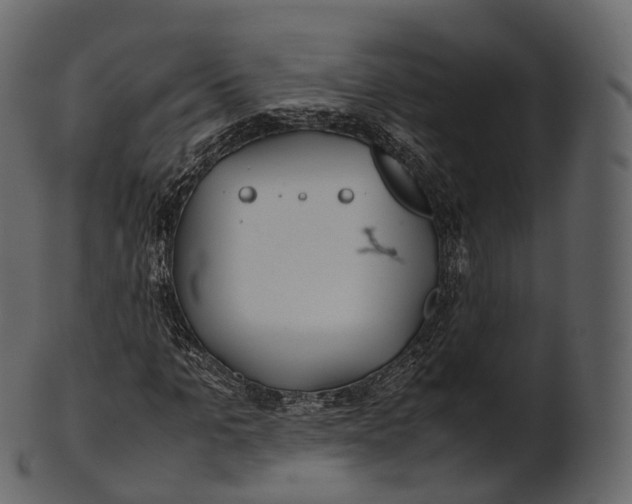 X0000100490965200807031912