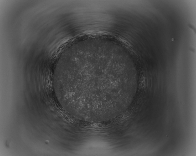 X0000100490966200807031912