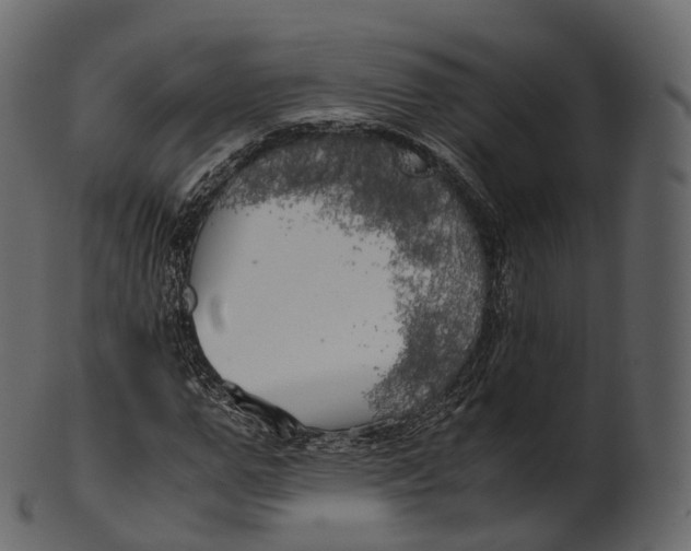 X0000100490967200807031912