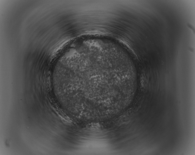 X0000100490968200807031912