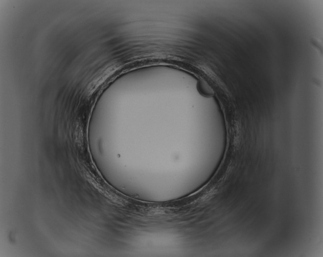 X0000100490969200807031912