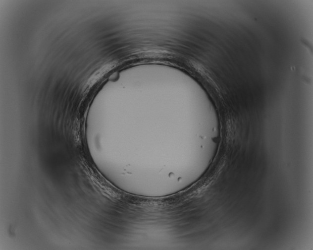 X0000100490970200807031912