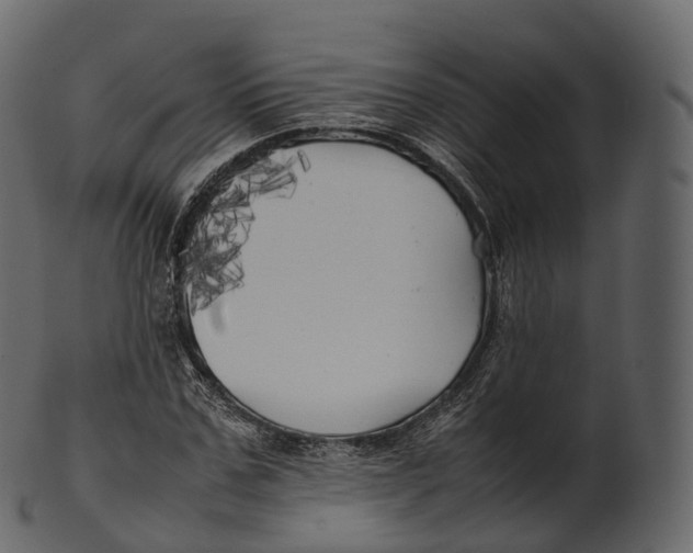 X0000100490971200807031912