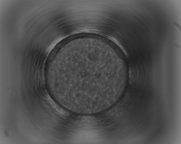 X0000100490972200807031912