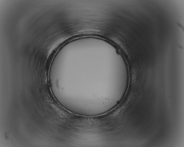 X0000100490973200807031912