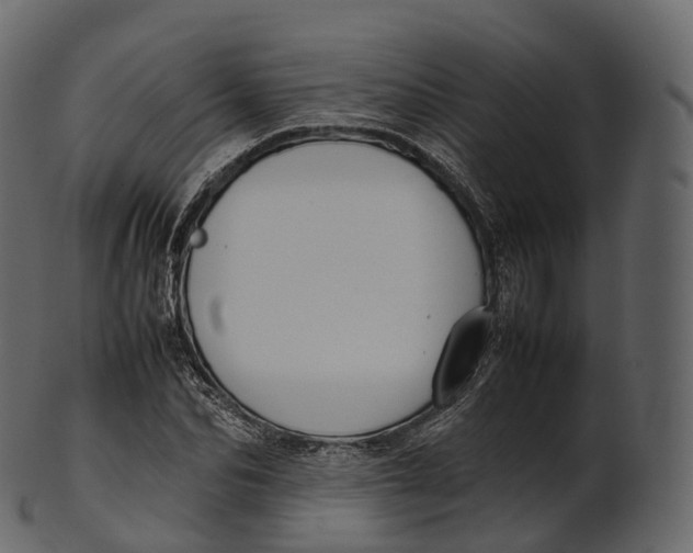 X0000100490974200807031912