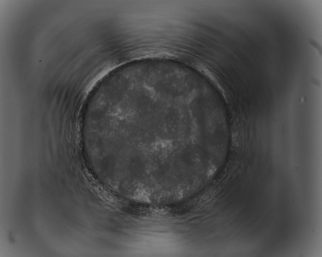 X0000100490975200807031912