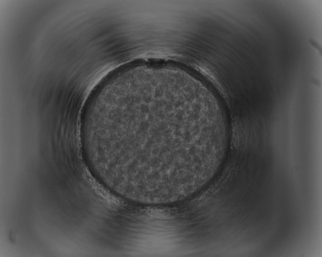 X0000100490976200807031912