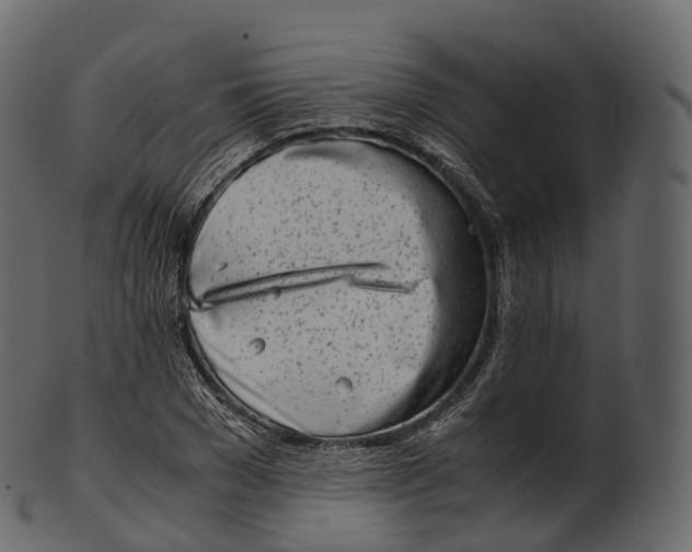 X0000100490977200807031912