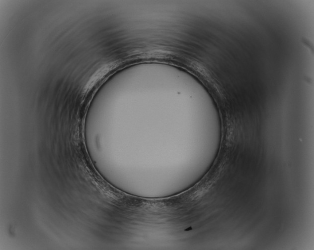 X0000100490978200807031912