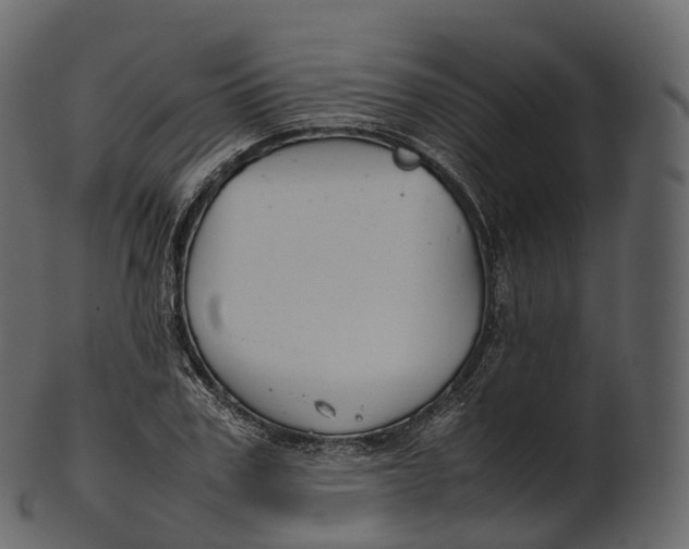 X0000100490979200807031912