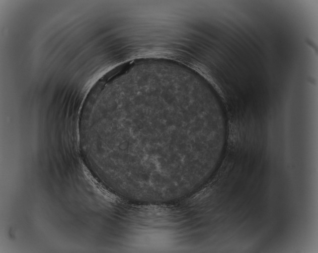 X0000100490980200807031912