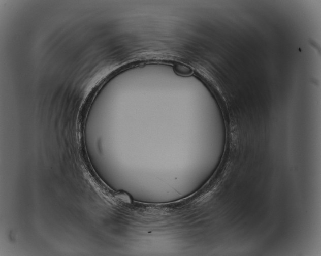 X0000100490981200807031912