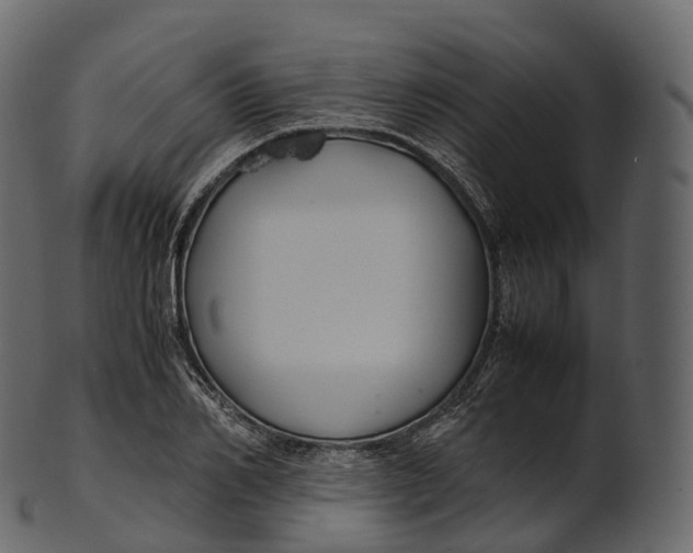 X0000100490982200807031912