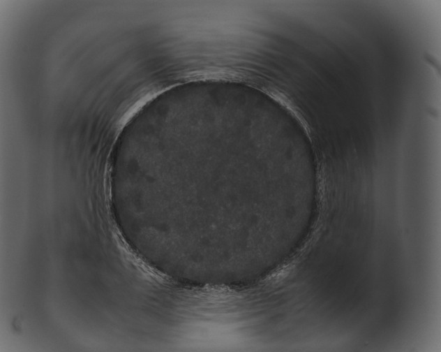 X0000100490983200807031912