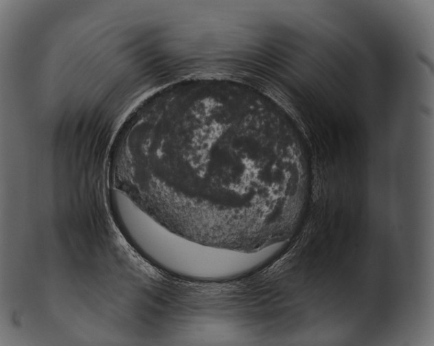 X0000100490984200807031912