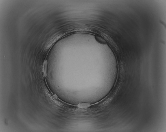 X0000100490985200807031912