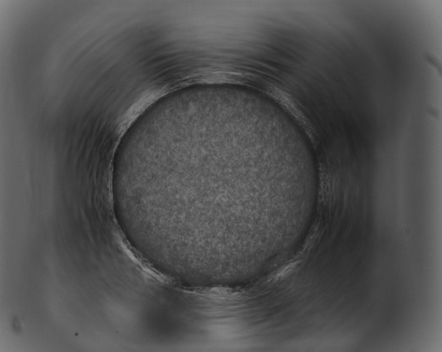 X0000100490986200807031912