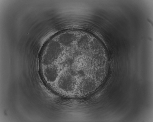 X0000100490987200807031912