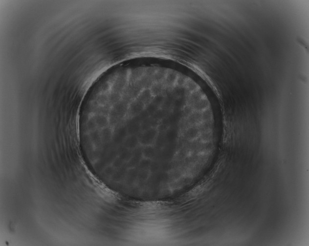 X0000100490988200807031912