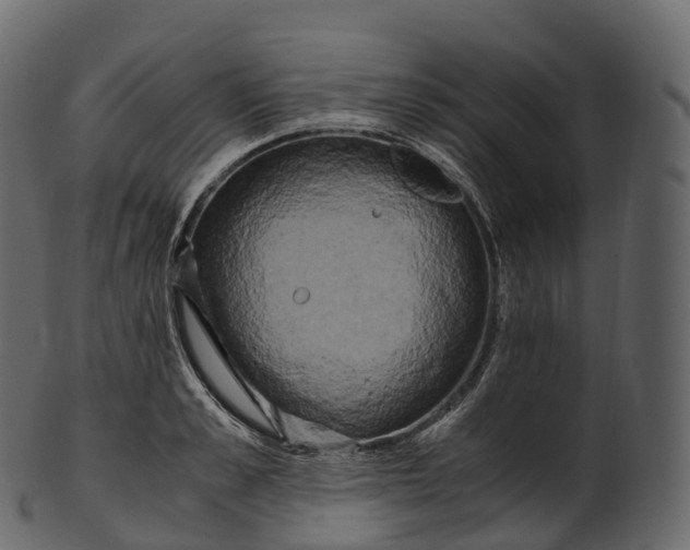 X0000100490989200807031912