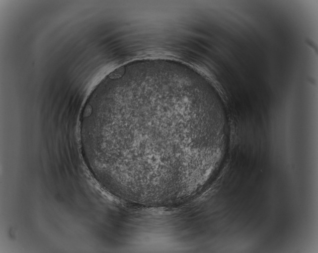 X0000100490990200807031912