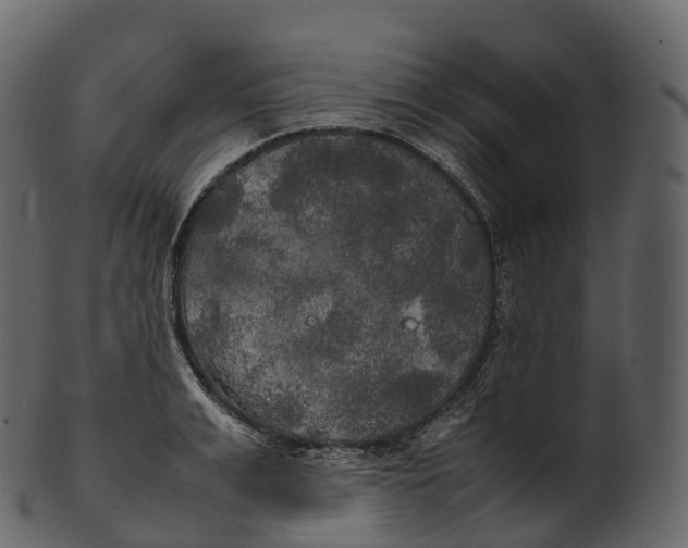 X0000100490991200807031912