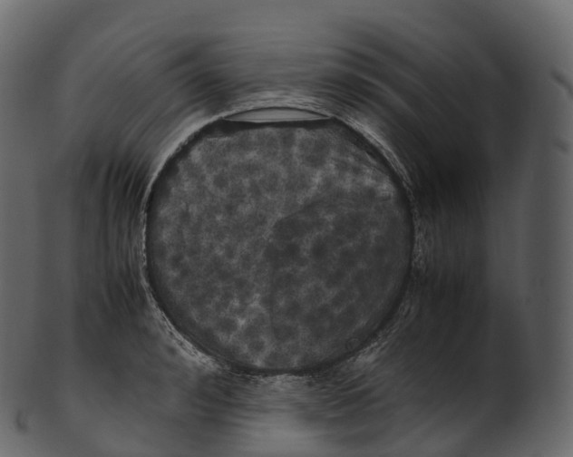 X0000100490992200807031912