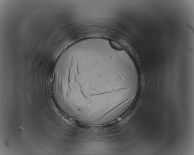 X0000100490993200807031912