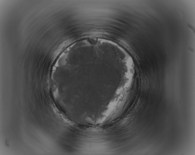 X0000100490994200807031912