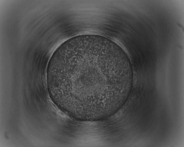 X0000100490996200807031912