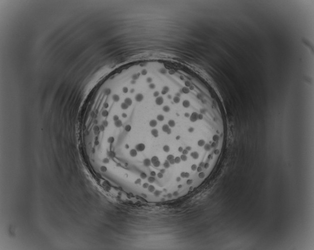 X0000100490997200807031912