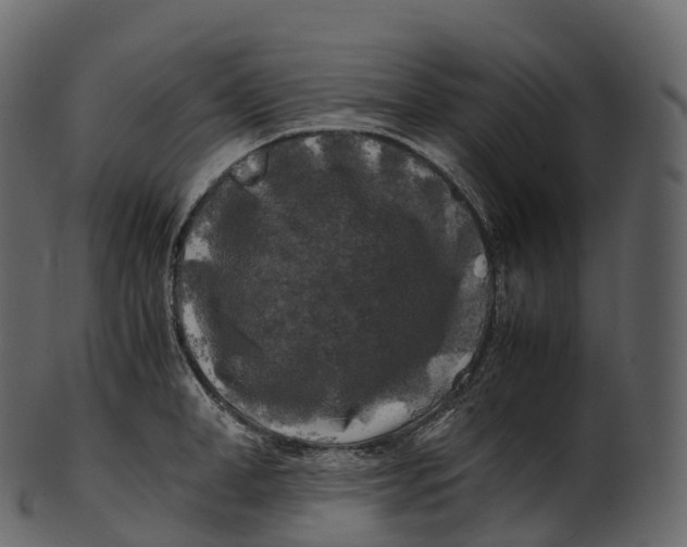 X0000100490998200807031912