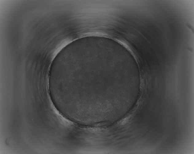 X0000100490999200807031912